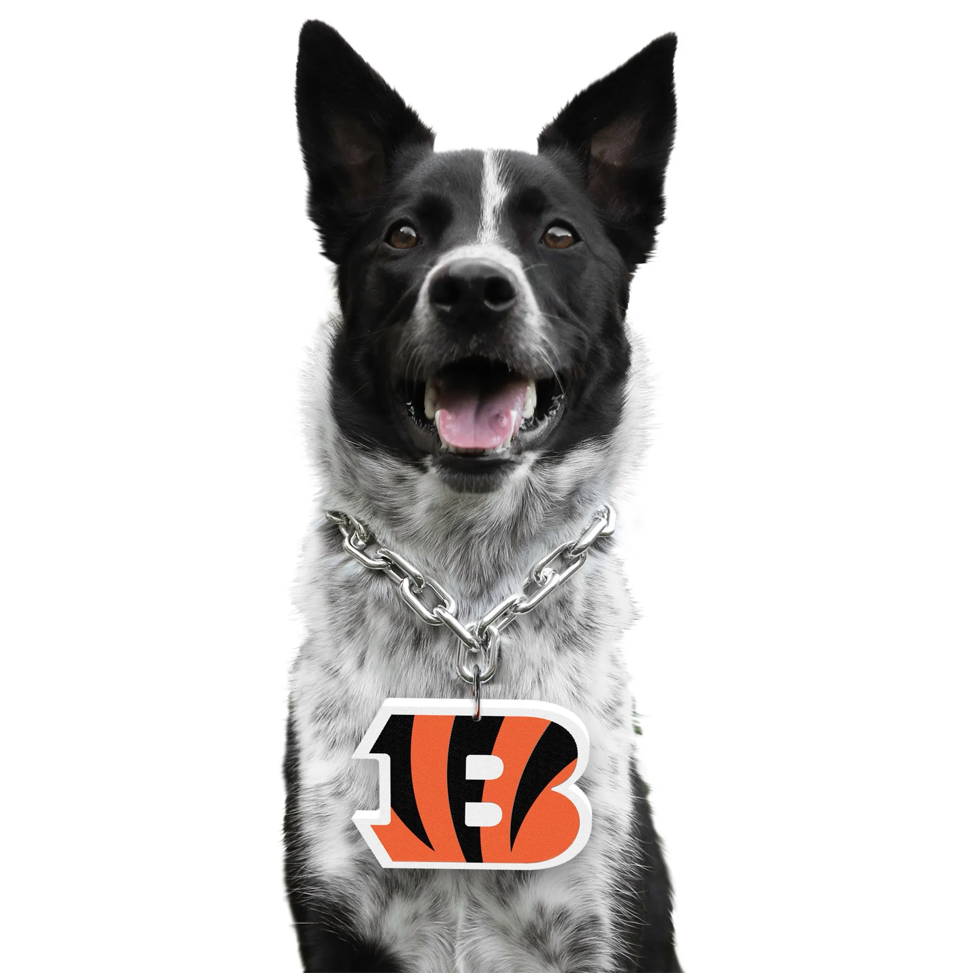 Cincinnati Bengals Pet Fan Chain