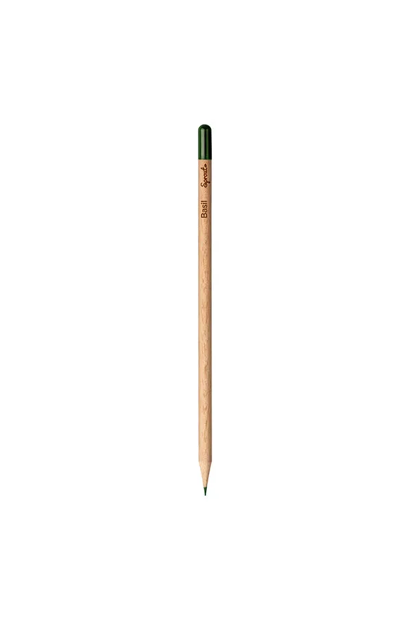 Customized Color Pencil - Basil