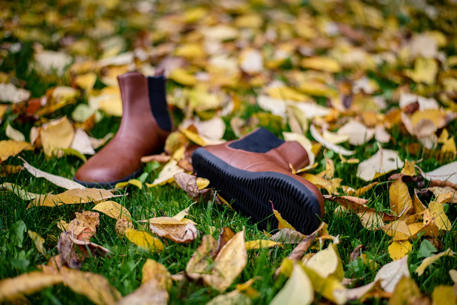 Women’s Chelsea barefoot brown boots